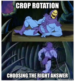 Skeletor Facts