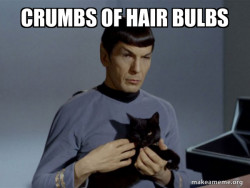 Spock and Cat Meme