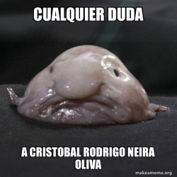 Blobfish