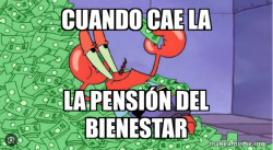 Mr Krabs Money