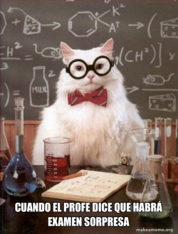 Chemistry Cat