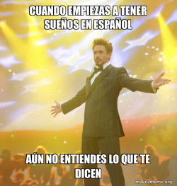 Tony Stark Success