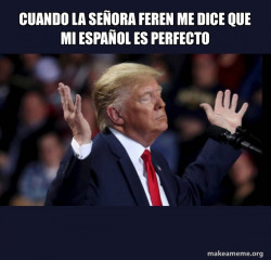 Trump Impeached