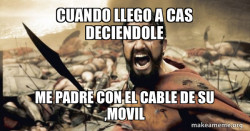 The 300