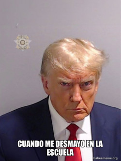 Donald Trump Mugshot