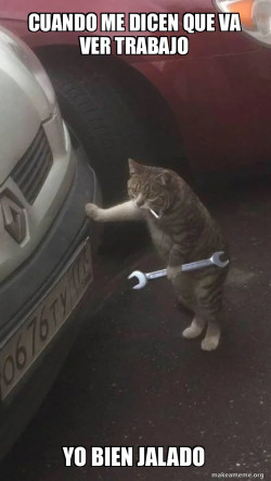 Mechanic Cat