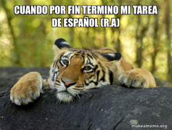 Confession Tiger