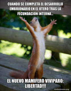 Parto