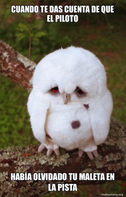Sad Owl