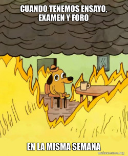 This Is Fine
