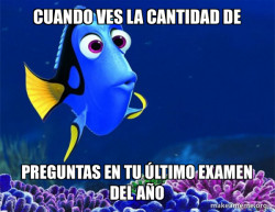 Dory from Nemo  (5 second memory)
