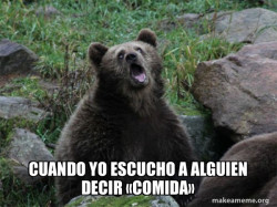 Sarcastic Bear