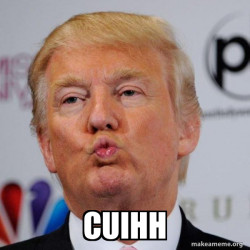 Donald Trump Kissing