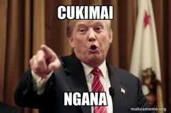 Donald Trump Says