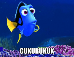 Dory from Nemo  (5 second memory)