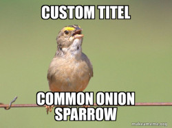 Common Opinion Sparrow