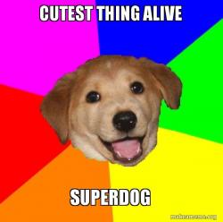 Advice Dog