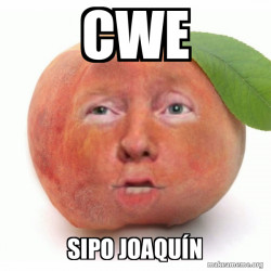Impeached Donald Trump