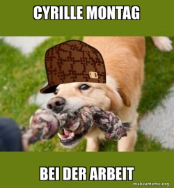Scumbag dog