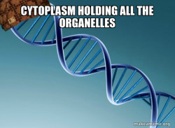 Scumbag Genetics