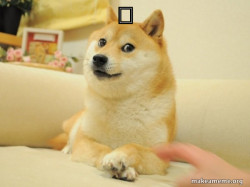 Doge