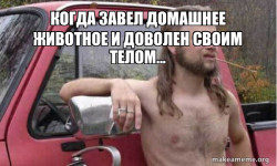 Almost Politically Correct Redneck