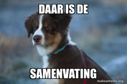 Unsure Dog