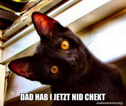Overly Attached Cat