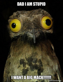 Weird Stuff I do Potoo