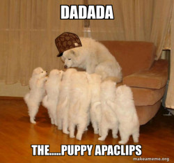 Scumbag Storytelling Dog