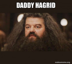 Hagrid - I should not have said that