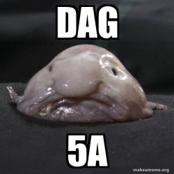 Blobfish