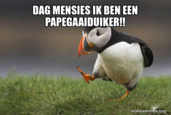 Unpopular Opinion Puffin