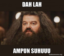 Hagrid - I should not have said that