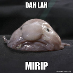 Blobfish