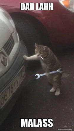 Mechanic Cat