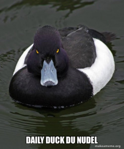 Revenge Duck ( Angry Advice Duck )