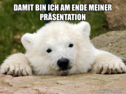 Popular Opinion Bear