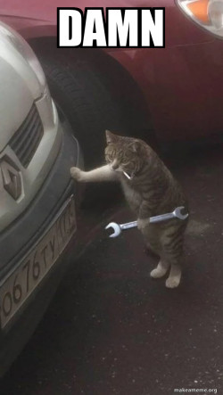 Mechanic Cat