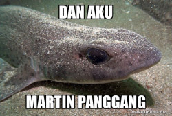 Dirty Joke Dogfish