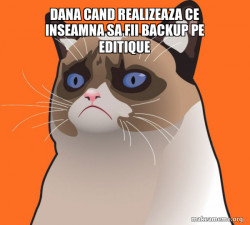 Cartoon Grumpy Cat
