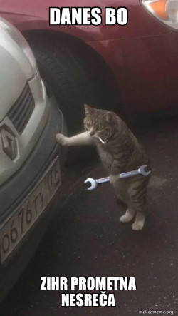 Mechanic Cat