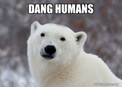 Popular Opinion Polar Bear