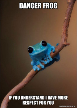 Small Fact Frog