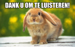 Regretful Rabbit