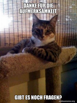 The Most Interesting Cat in the World