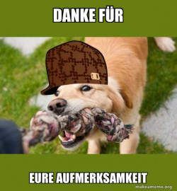 Scumbag dog