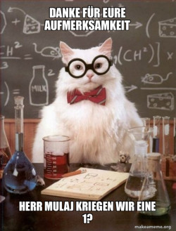 Chemistry Cat