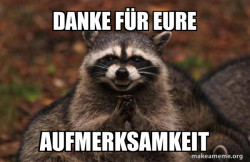 Evil Plotting Raccoon