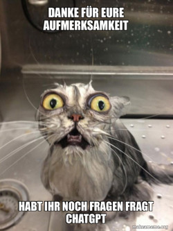 Cat bath